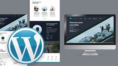 WordPress & CMS